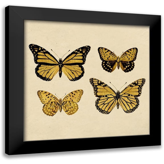 Surma, Agata 12x12 Black Modern Framed Museum Art Print Titled - Mariposas