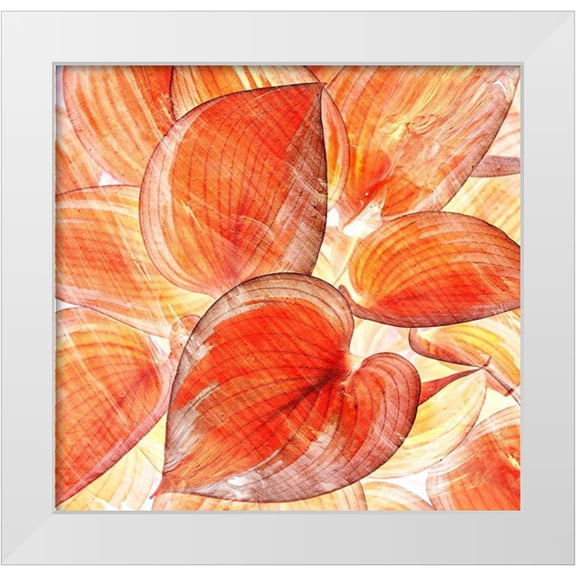 Surma, Agata 12x12 White Modern Wood Framed Museum Art Print Titled - Botanic Oranges