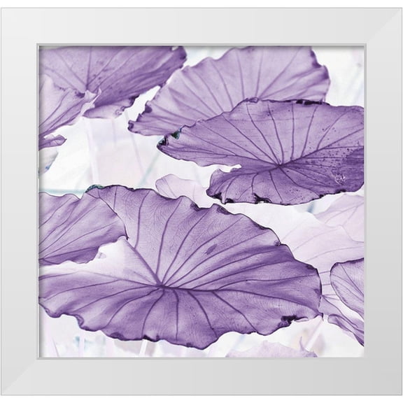 Surma, Agata 12x12 White Modern Wood Framed Museum Art Print Titled - Botanicals