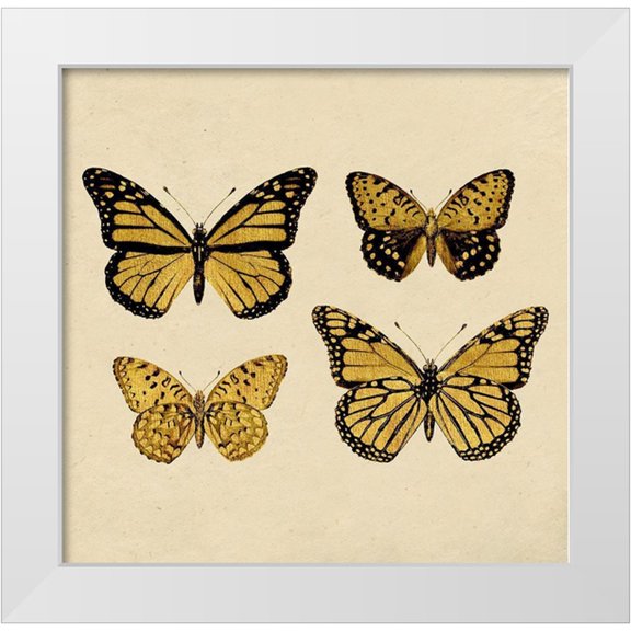 Surma, Agata 12x12 White Modern Wood Framed Museum Art Print Titled - Mariposas