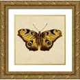 thumbnail image 1 of Surma, Agata 15x15 Gold Ornate Wood Framed with Double Matting Museum Art Print Titled - Golden Mariposa, 1 of 4
