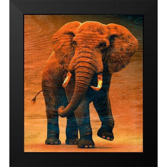 Surma And Guillen 12x13 Black Modern Framed Museum Art Print Titled - Sunset Savanna
