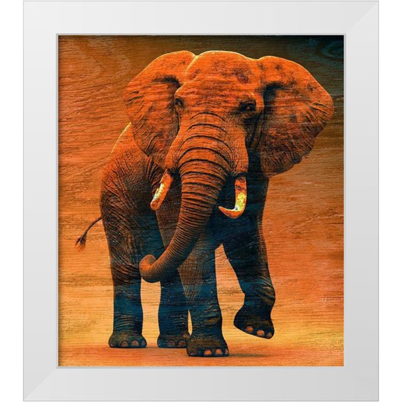 Surma And Guillen 12x13 White Modern Wood Framed Museum Art Print Titled - Sunset Savanna