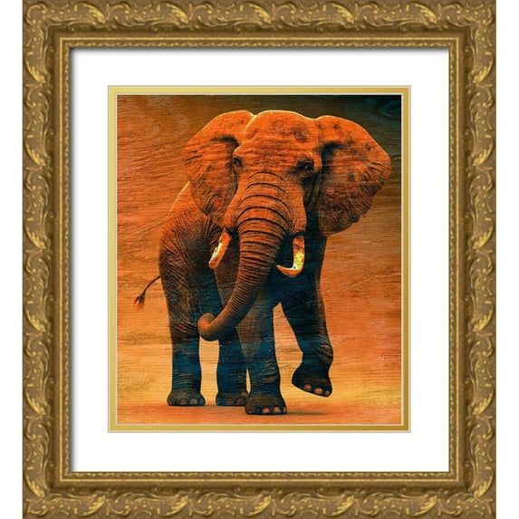 Surma And Guillen 15x17 Gold Ornate Wood Framed with Double Matting Museum Art Print Titled - Sunset Savanna