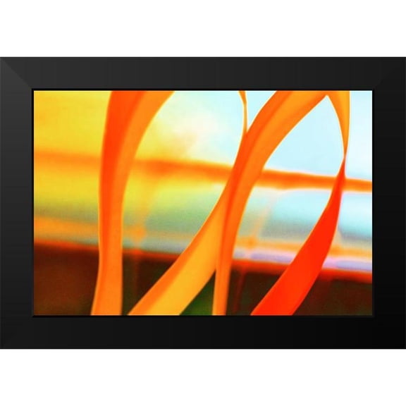 Surma And Guillen 18x13 Black Modern Framed Museum Art Print Titled - Sun Sky III