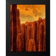 thumbnail image 1 of Surma And Guillen 19x24 Black Modern Framed Museum Art Print Titled - Desert Vibes II, 1 of 4