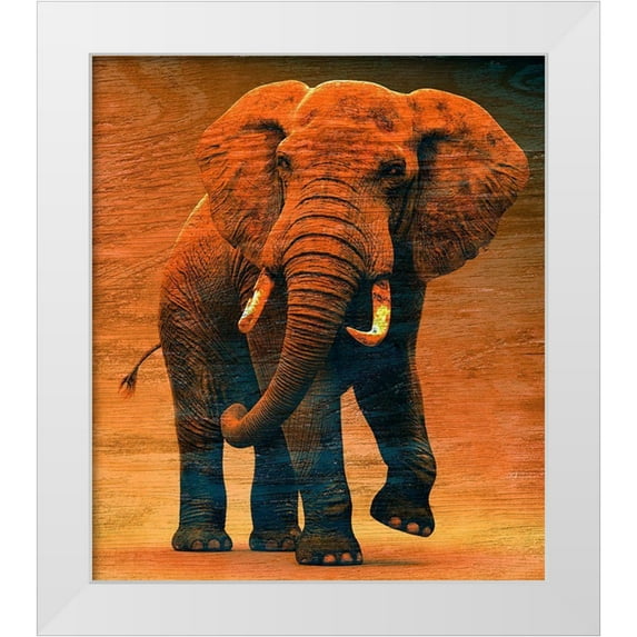 Surma And Guillen 20x23 White Modern Wood Framed Museum Art Print Titled - Sunset Savanna