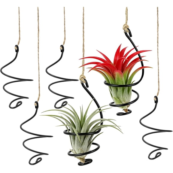 Surpdew 6Pcs Hanging Air Plant Holder, Air Plant Hanger with Jute Ropes, Soilless Tillandsia Display Stand for Home & Office Decor, Succulent Container Plant Stand