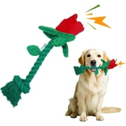 Dog Rose
