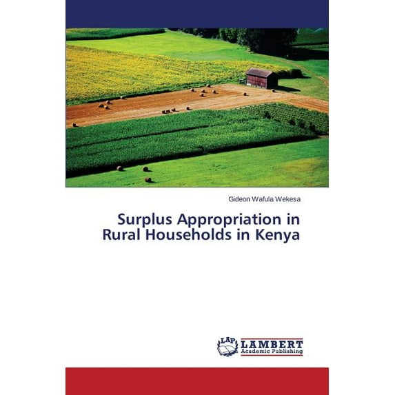 Surplus Appropriation in Rural Households in Kenya (Paperback)