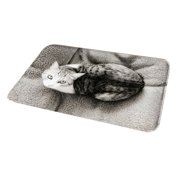 SANWOOD Floor Mat,Door Mat Anti-slip 3D Coral Velvet Cat Dog Pattern Floor Mat for Bedroom Door