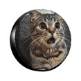 Surprised tabby cat Weatherproof tire protection cover spare tire cover