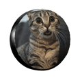 Surprised tabby cat Weatherproof tire protection cover spare tire cover