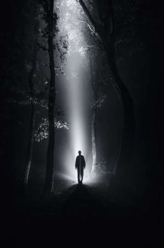 Surreal Forest At Night Canvas Art - Photocosma (12 x 18)