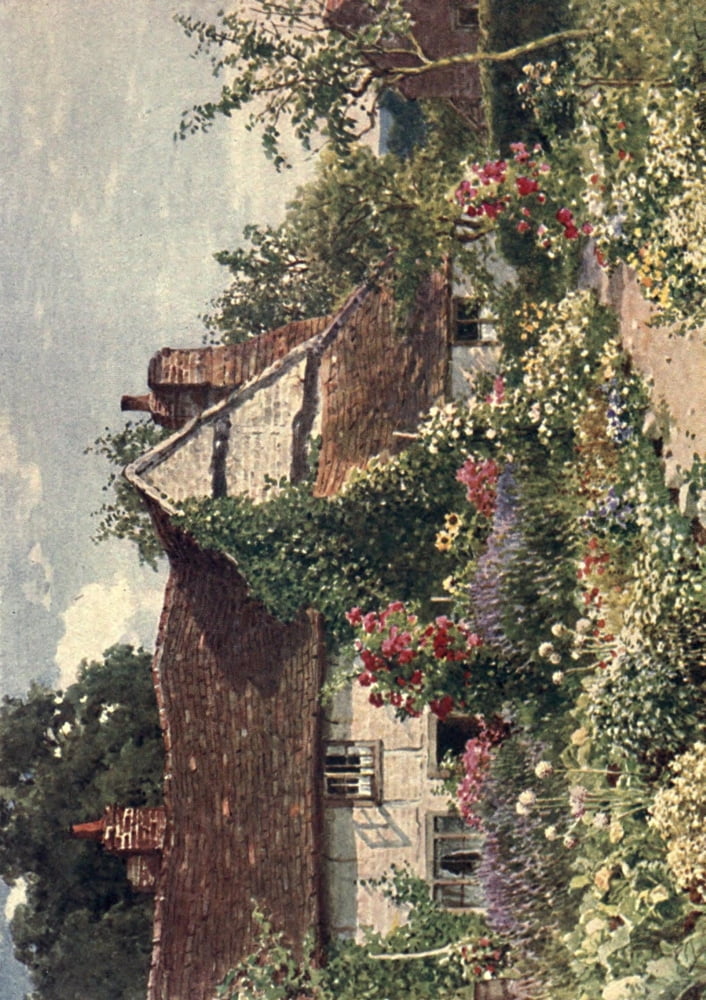 Surrey 1906 A cottage near Bisley Canvas Art - Harold Sutton Palmer (18 x 24)
