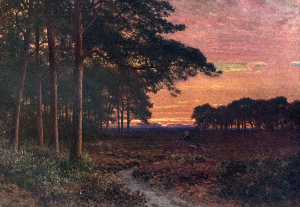Surrey 1906 Evening on the moors Hindhead Canvas Art - Harold Sutton Palmer (18 x 24)