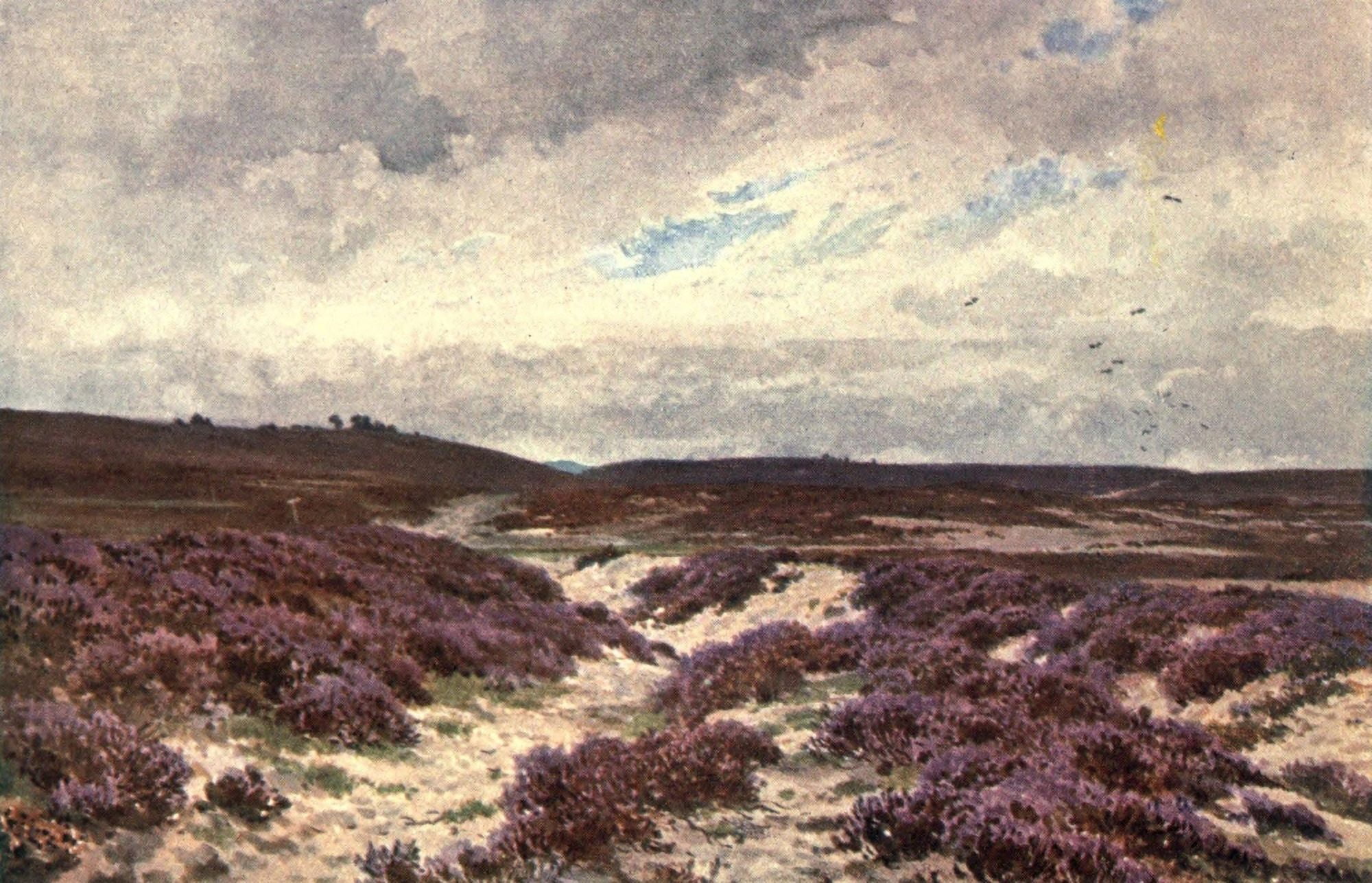 Surrey 1906 Frensham Common Canvas Art - Harold Sutton Palmer (18 x 24)