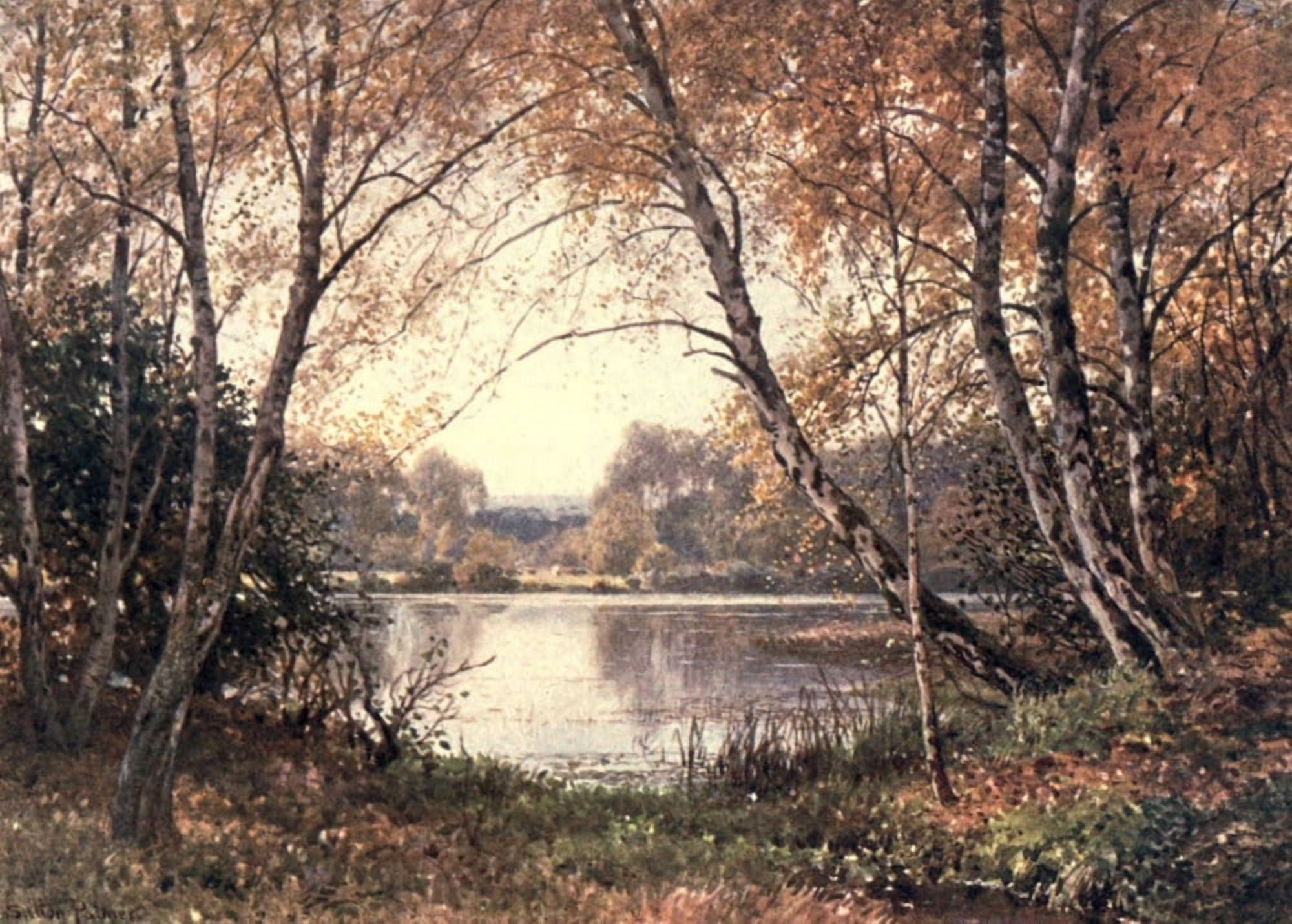Surrey 1906 Pond Royal Common Canvas Art - Harold Sutton Palmer (18 x 24)