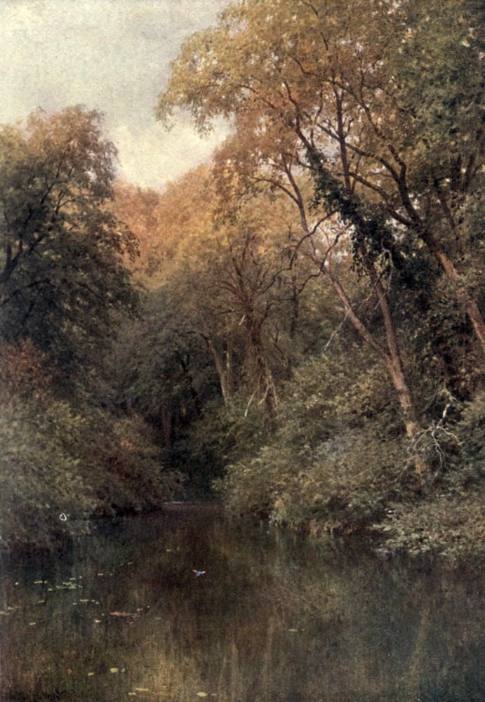 Surrey 1906 Silent Pool Albury Canvas Art - Harold Sutton Palmer (18 x 24)