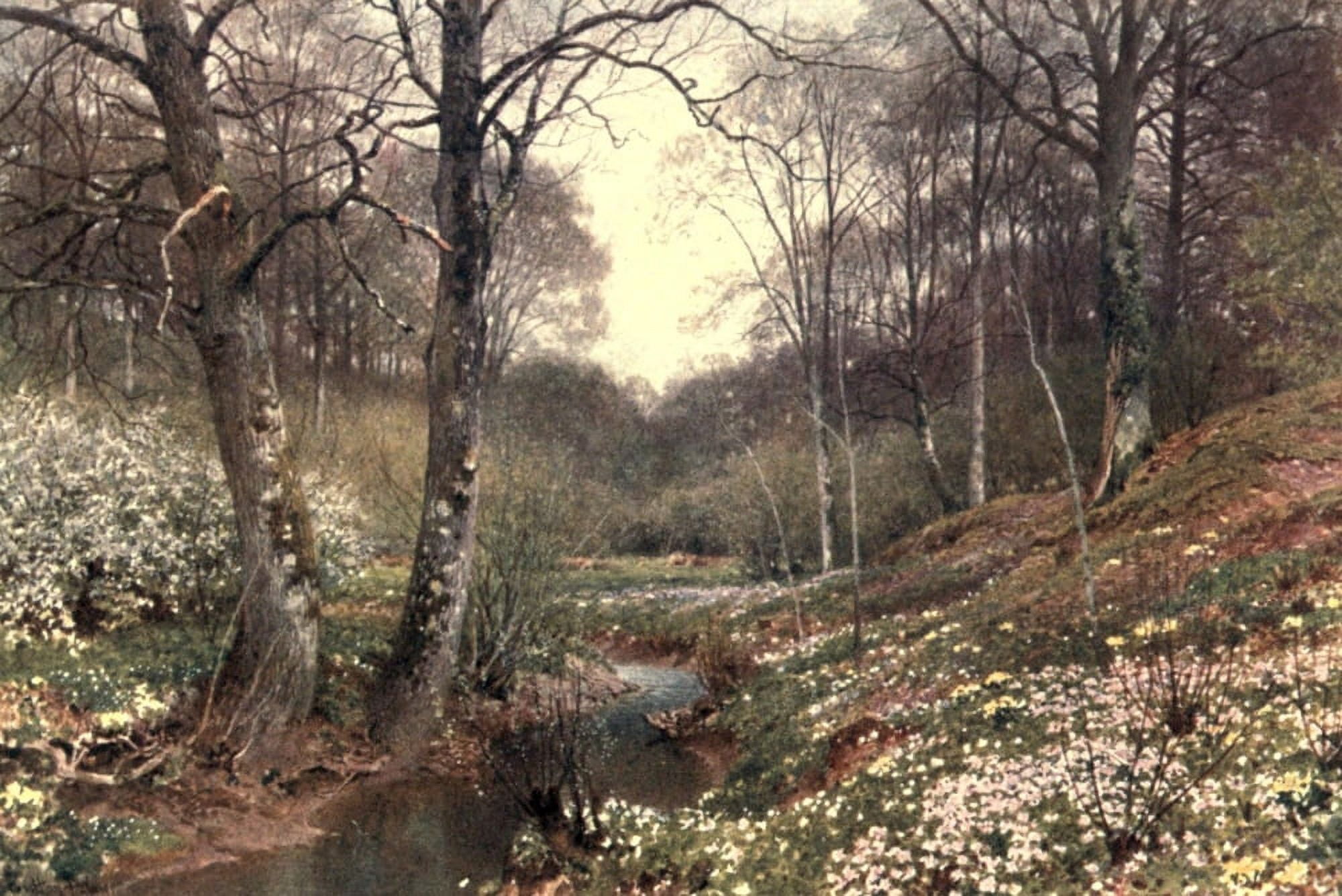 Surrey 1906 Spring Blossoms near Dorking Canvas Art - Harold Sutton Palmer (18 x 24)