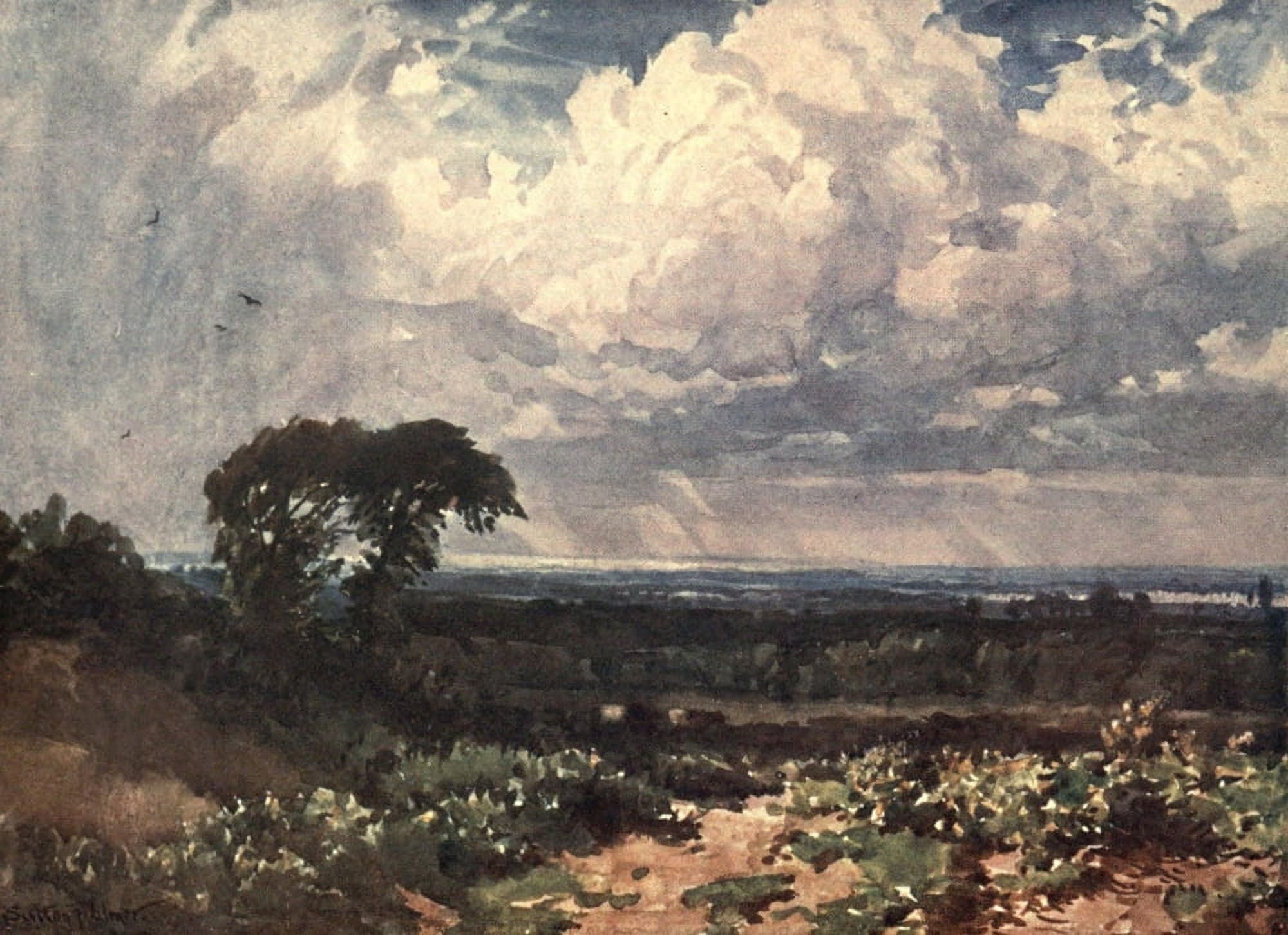 Surrey 1906 The Cloud Canvas Art - Harold Sutton Palmer (18 x 24)
