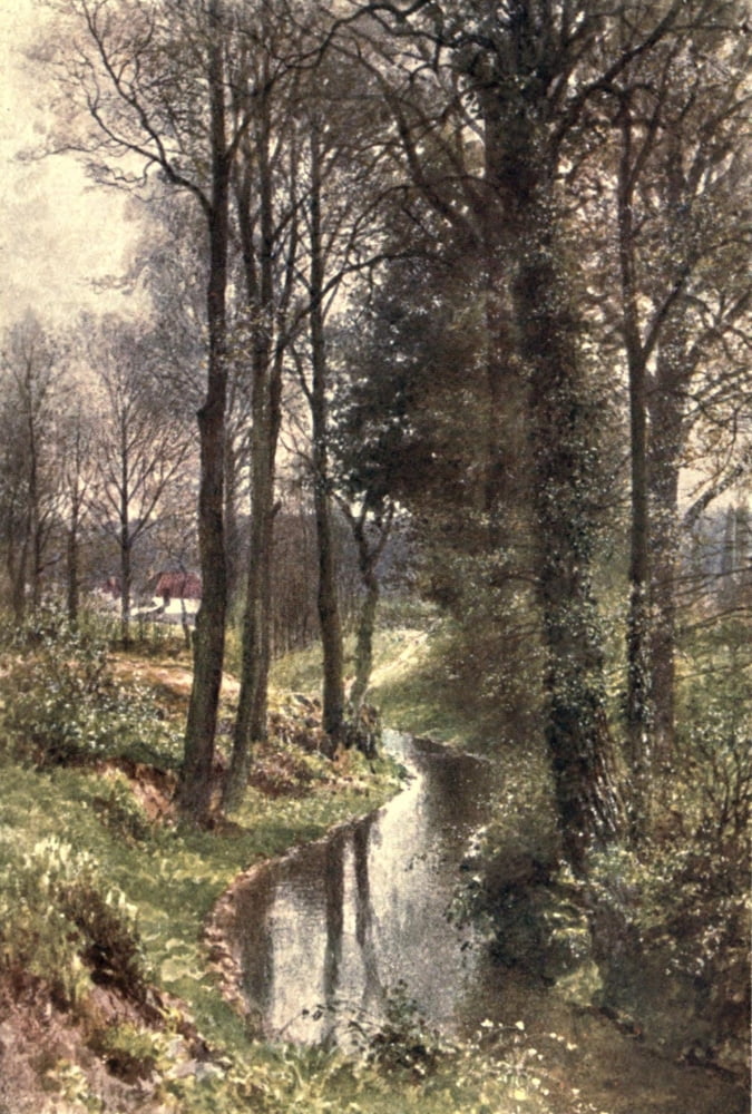 Surrey 1906 Water Lane near East Horsley Canvas Art - Harold Sutton Palmer (18 x 24)