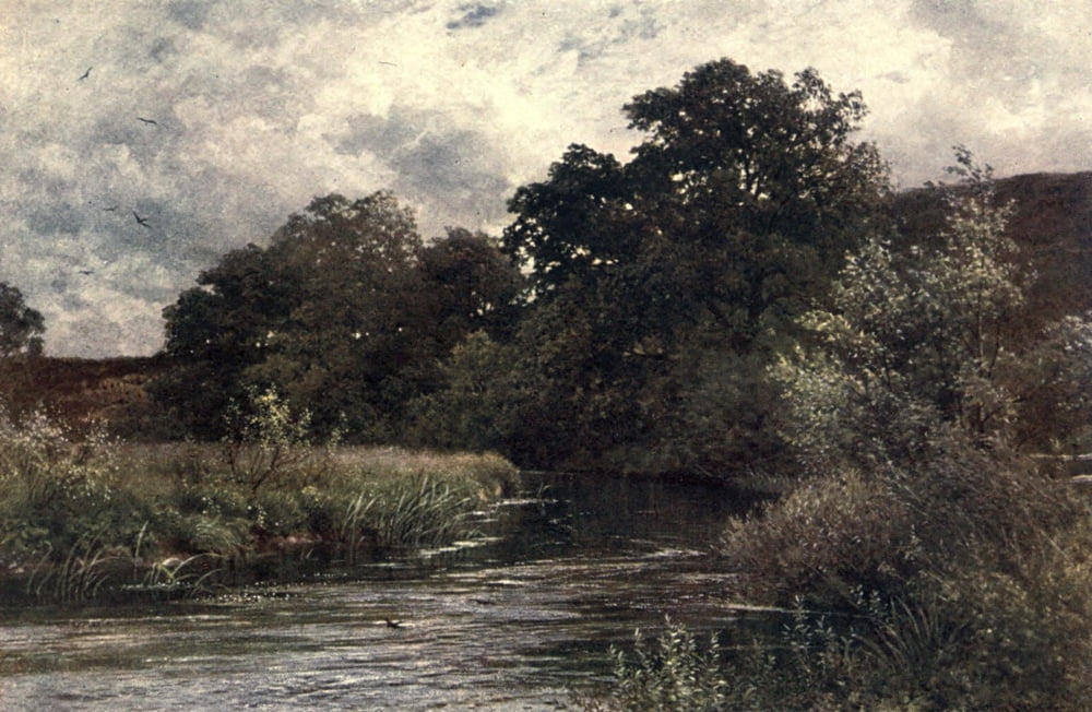 Surrey 1906 Wey at Hankley Common near Tilford Canvas Art - Harold Sutton Palmer (18 x 24)