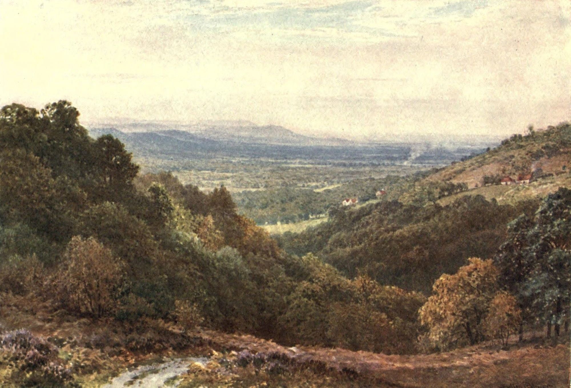 Surrey 1906 Wide stretch from The Gibbet Hindhead Canvas Art - Harold Sutton Palmer (18 x 24)