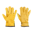 thumbnail image 1 of Surtek Calfskin Leather Argon Worrking Short Gloves Surtek, 1 of 5