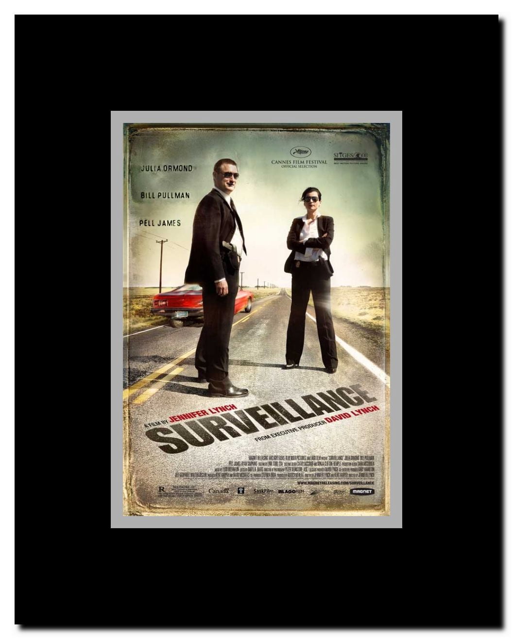Surveillance Framed Movie Poster