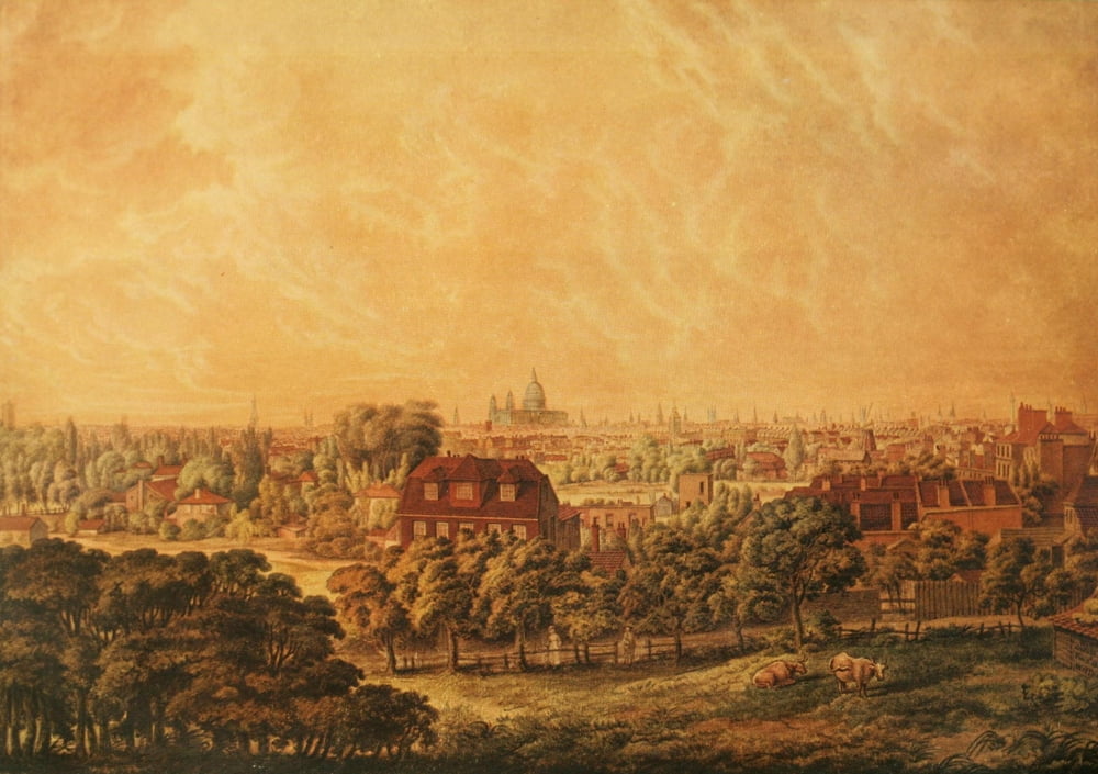 Survey of London 1951 London from Lambeth Marsh 1804 Canvas Art - Unknown (18 x 24)