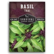 Thai Basil Seeds - Full Sun Annual Herb - 1 Pack