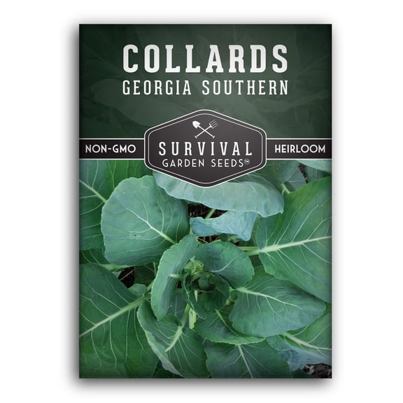 1 Pack Georgia Southern Collard Greens Seed - Non-GMO Heirloom Full Sun Biennial Vegetable
