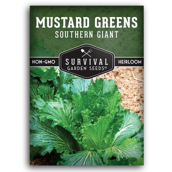 Southern Giant Mustard Greens Seeds - Full Sun Biennial Vegetable - 1 Pack