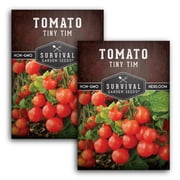 Tiny Tim Cherry Tomato Seeds - Full Sun Annual Vegetable - 2 Packs