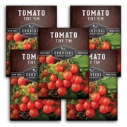 Tiny Tim Cherry Tomato Seeds - Full Sun Annual Vegetable - 5 Packs