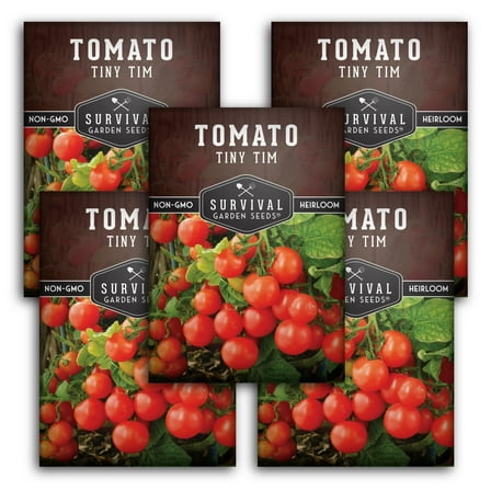 Tiny Tim Cherry Tomato Seeds - Non-GMO Heirloom Full Sun Annual Vegetable - 5 Packs