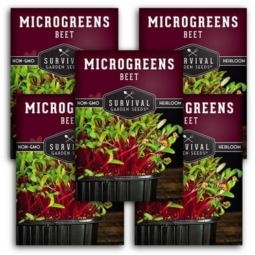 5 packs Beet Seed for Microgreens - Non-GMO Heirloom Full Sun Biennial Vegetable Seeds