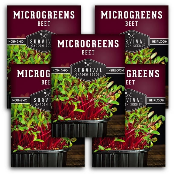 5 Packs Beet Seed for Microgreens - Non-GMO Heirloom Full Sun Biennial Vegetable Seeds