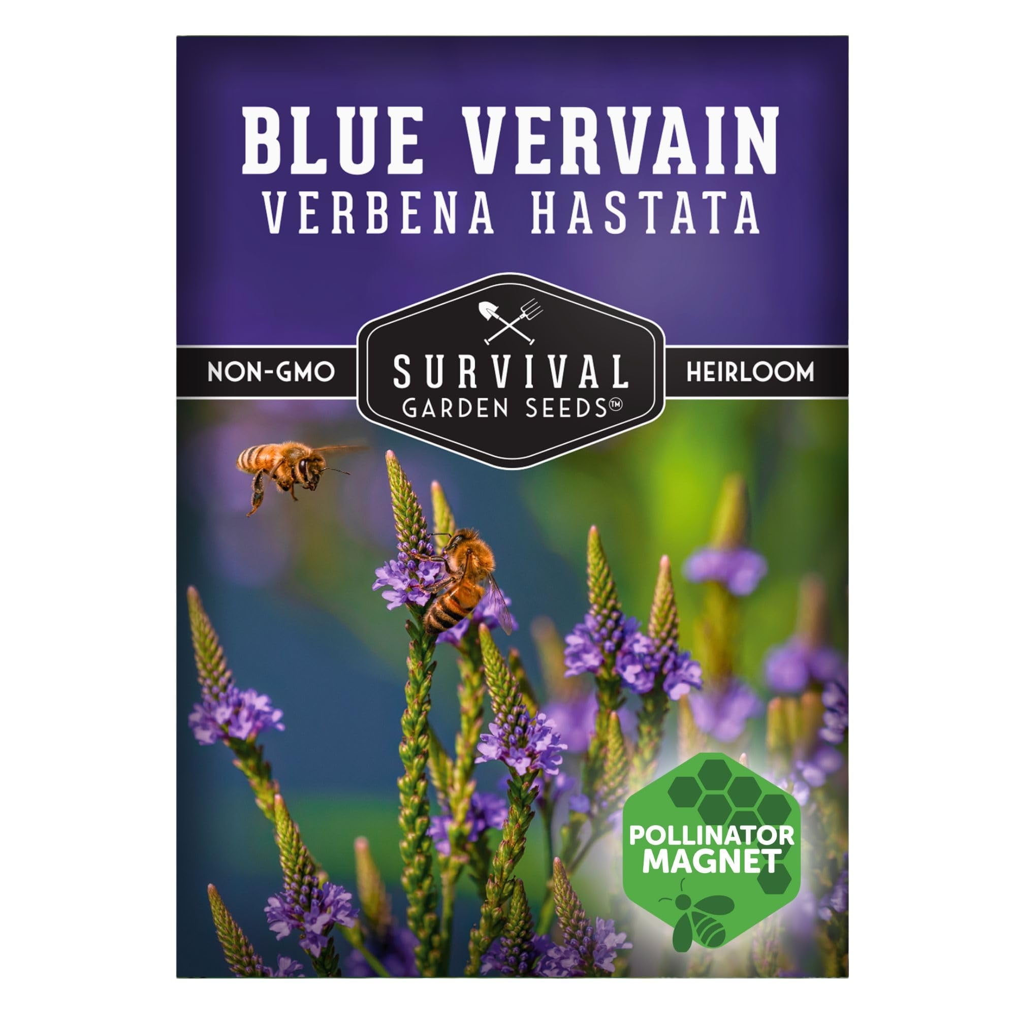 Great Description About Blue Vervain Seeds