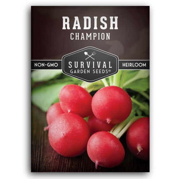 Champion Radish Seeds - Full Sun Annual Vegetable - 1 Pack