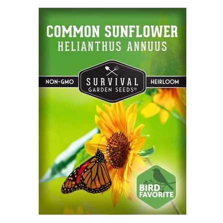 Common Sunflower Seeds for Planting | Bird & Pollinator Magnet | Native Full Sun Annual Flower - 1 Pack