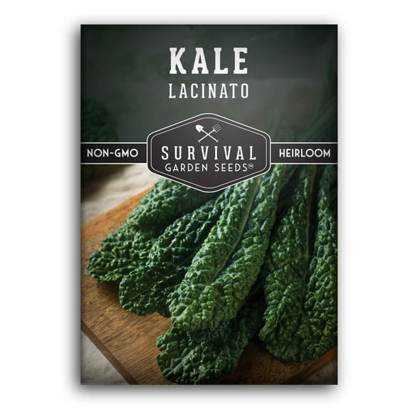 Lacinato Kale Seeds for Planting - 1 Pack of Non-GMO Heirloom Biennial Vegetable Seeds