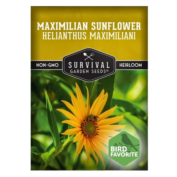 Maximilian Sunflower Seeds for Planting | Native Flower Full Sun Perennial Flower - 1 Pack