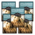 thumbnail image 1 of Little Bluestem Seeds - Perennial Full Sun Native Grass - 5 Packs, 1 of 9