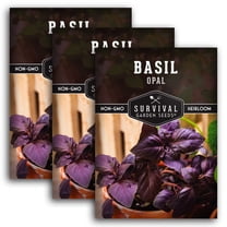Opal Basil Seeds - Non-GMO Heirloom Full Sun Annual Herb - 3 Packs