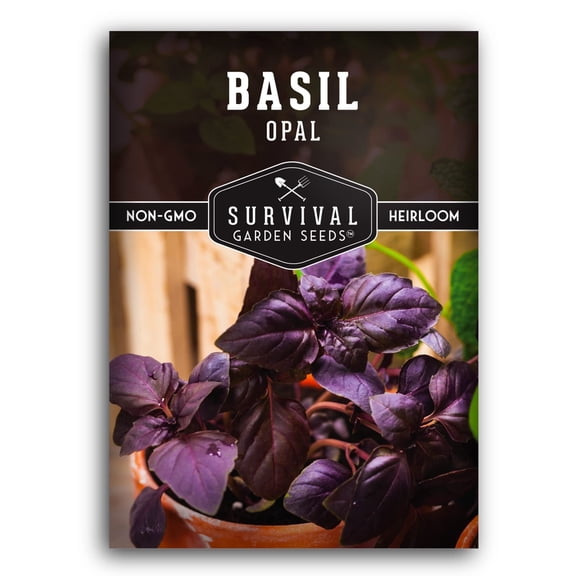 Opal Basil Seeds - Non-GMO Heirloom Full Sun Annual Herb - 1 Pack