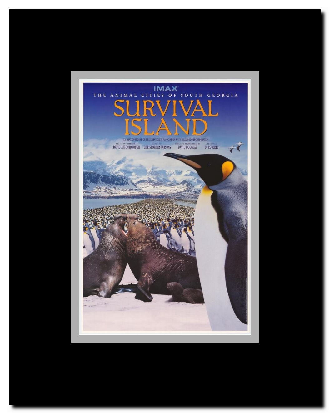 Survival Island (IMAX) Framed Movie Poster