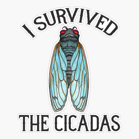 Survived Cicadas Bug Season Vinyl Decal Sticker