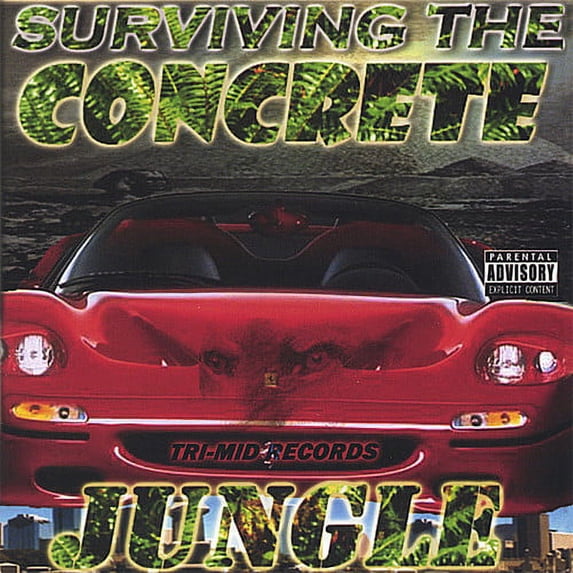 Surviving the Concrete Jungle